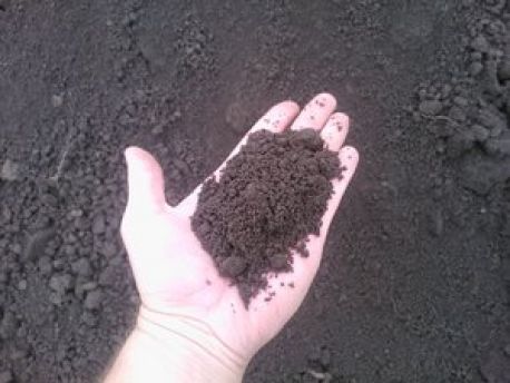 На Сумщині за три мільйони інвентаризують землі