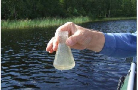 У річці Сумка в районі Центрального ринку вміст нітритів перевищує норму у 38 разів