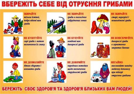 Гриби: профілактика отруєнь та перша допомога