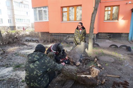 У Сумах комунальники прибрали дерево, яке впало, за півтори доби
