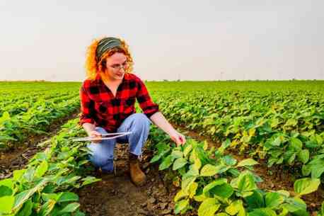 Міжнародні партнери реалізують проєкт з підтримки жінок-фермерів Сумщини