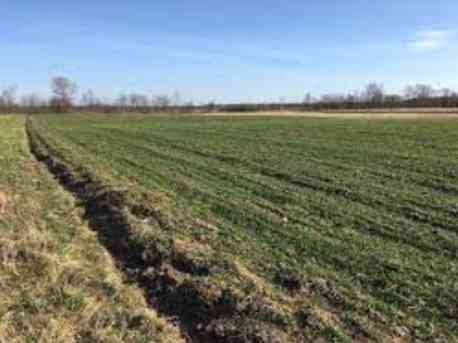 Прокуратура повернула громаді на Сумщині 10 га землі