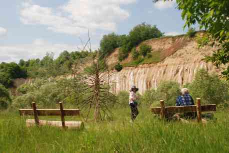 На Шосткинщині відбувся перший мистецький ленд-арт фестиваль &laquo;Тімкреація&raquo;