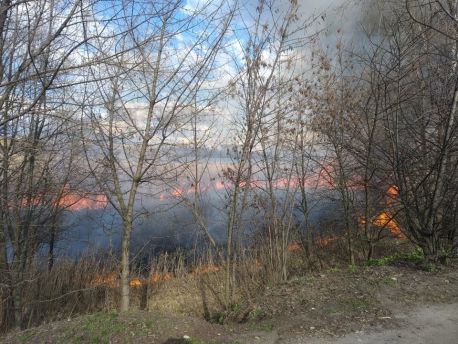У Сумах горять береги озера Чеха