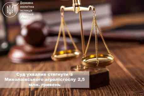 Суд ухвалив стягнути з Миколаївського агролісгоспу 2,5 млн. гривень