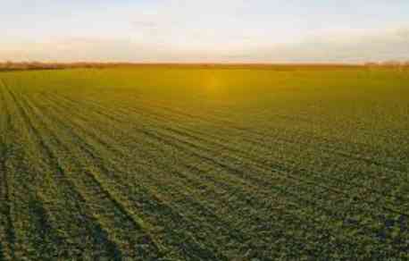 На Сумщині прокуратура повернула громаді 480 га землі вартістю 13,5 млн грн