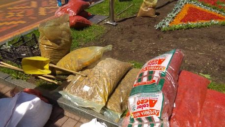 У Сумах створюють клумбу у вигляді вишиванки (фоторепортаж)