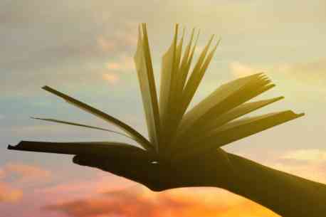 росія знищила бібліотеку на Шосткинщині: оголошено збір книг для відновлення фонду