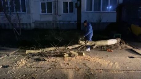 На Сумщині дерево ледь не розчавило автівку мера (відео)