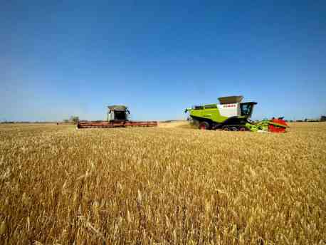 Аграрії Сумщини зібрали перший мільйон тонн зерна нового врожаю