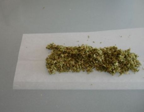 У Сумах у підлітка поліцейські знайшли &laquo;травичку&raquo;